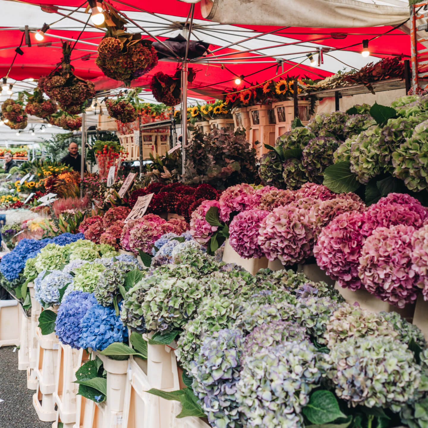 Columbia Road Flower Market & The Lily Vanilli Bakery @ London, UK